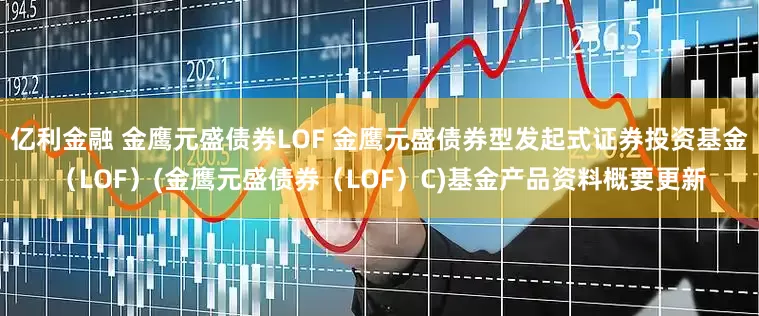 亿利金融 金鹰元盛债券LOF 金鹰元盛债券型发起式证券投资基金（LOF）(金鹰元盛债券（LOF）C)基金产品资料概要更新