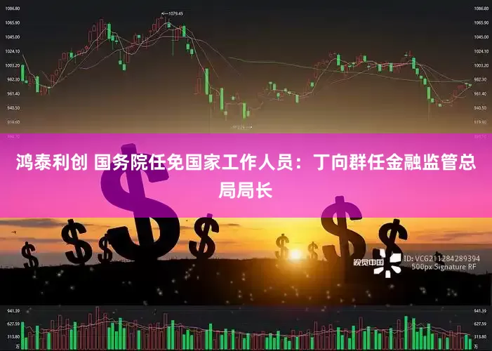 鸿泰利创 国务院任免国家工作人员：丁向群任金融监管总局局长